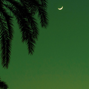 中国十八九日逼
